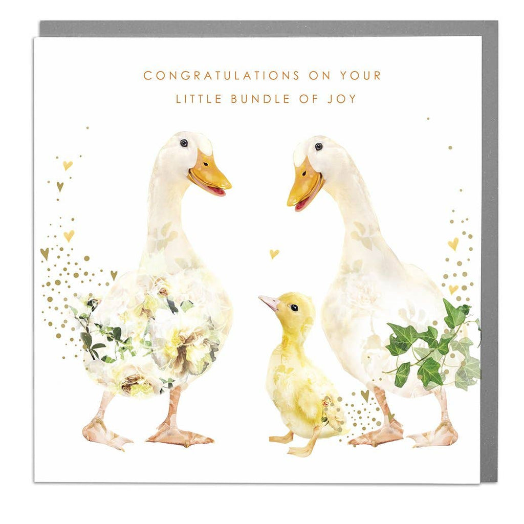 Ducks Congratulations On Your Little Bundle New Baby Card by Lola Design