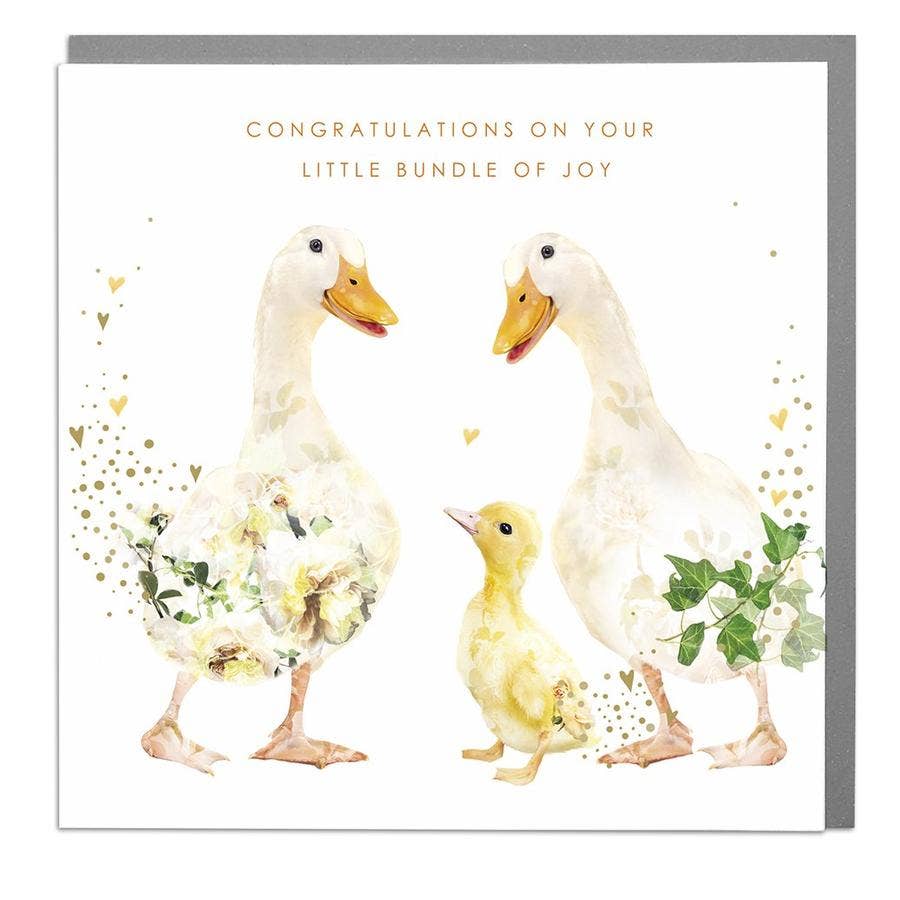 Ducks Congratulations On Your Little Bundle New Baby Card by Lola Design