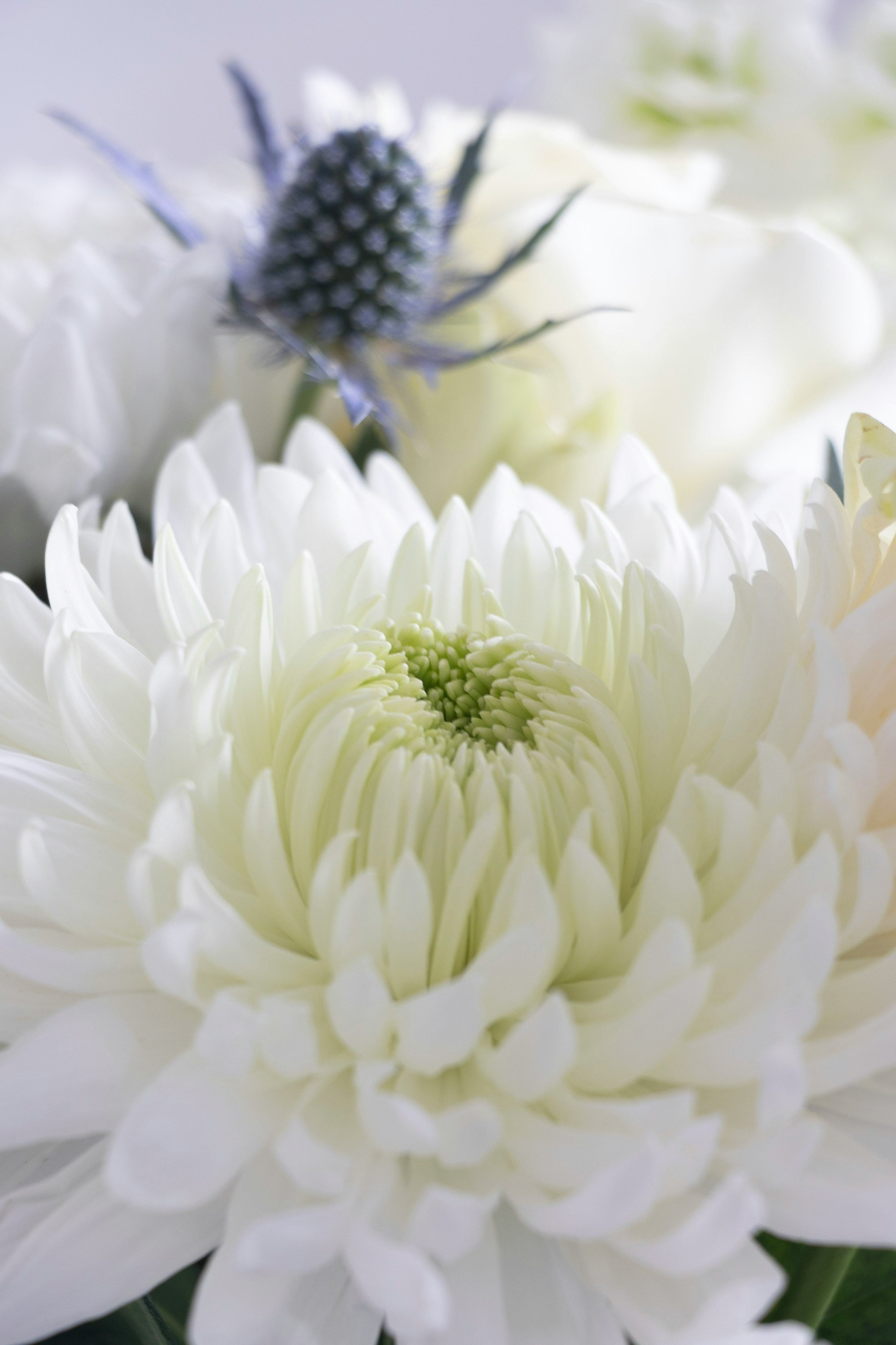 Highland Peace Hand Tie Bouquet