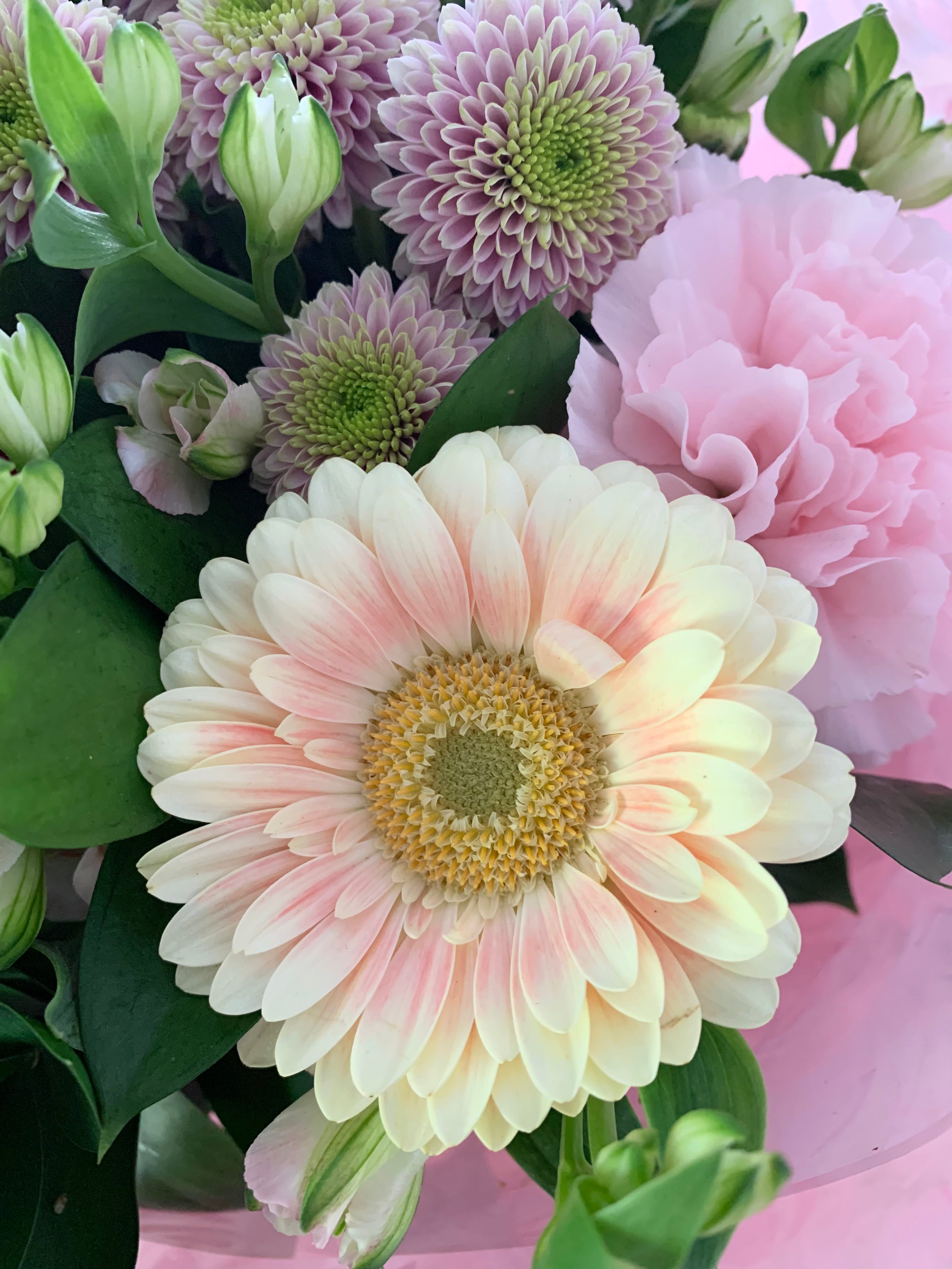 Florist Choice Vase Arrangement