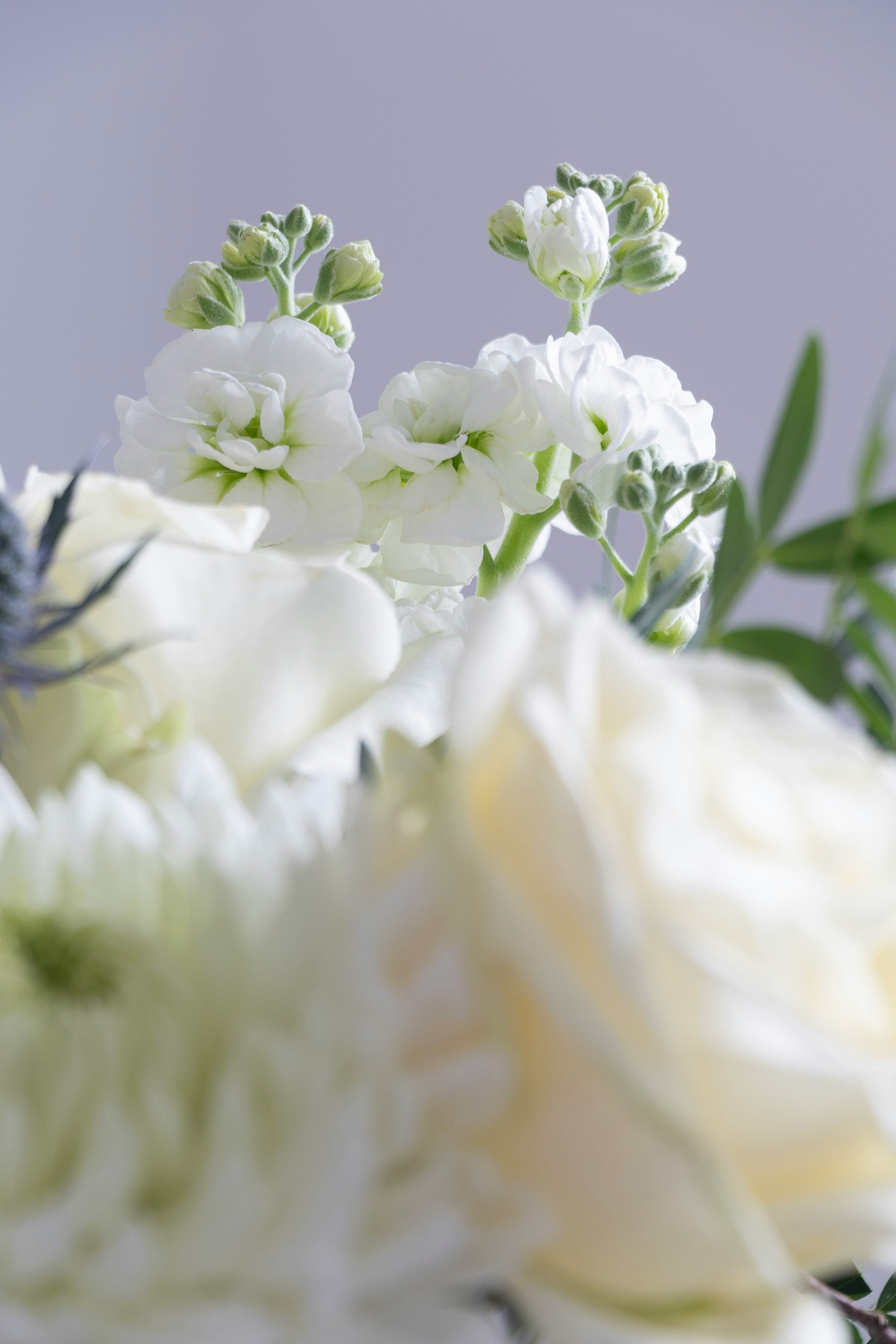 Still Grace Pot Arrangement