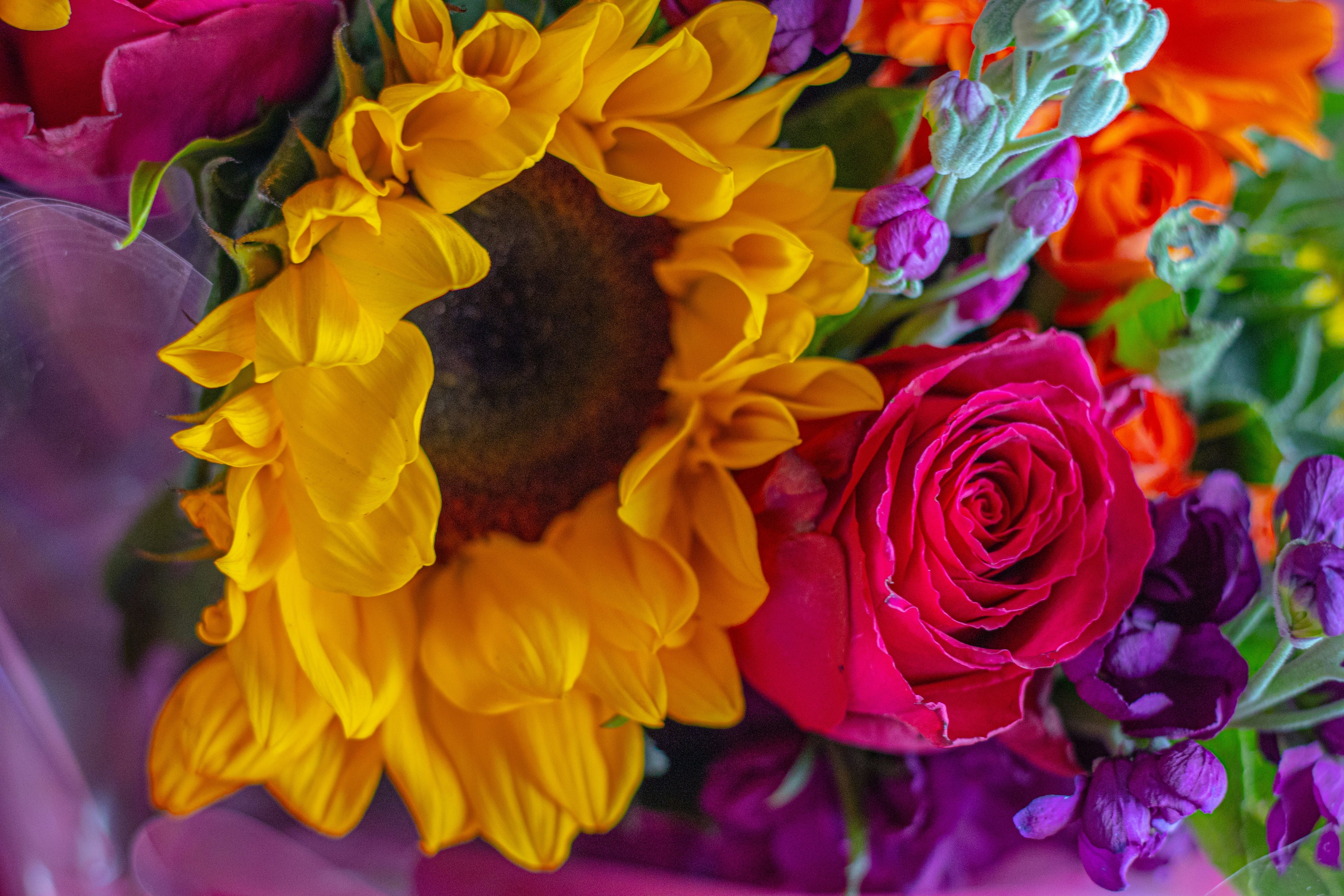 Florist Choice Blooms for Besties