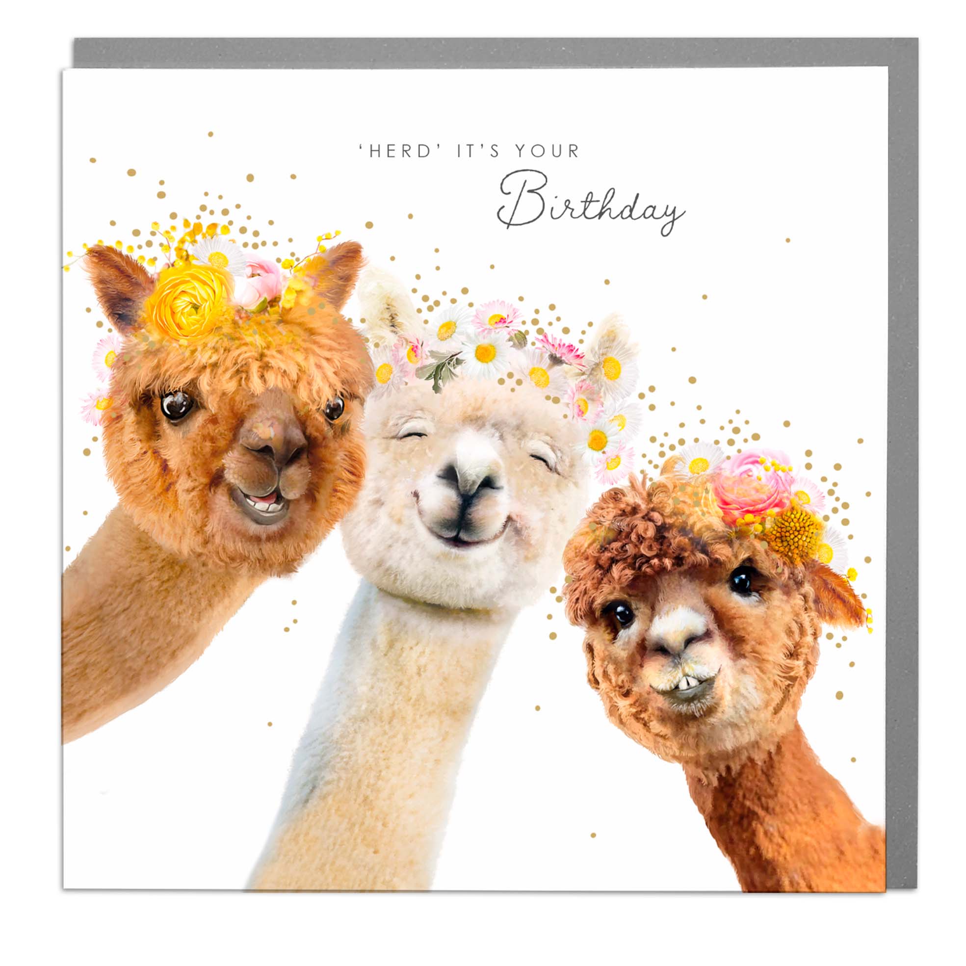 Heard its Your Birthday, Happy birthday Alpaca greeting card by Lola Design