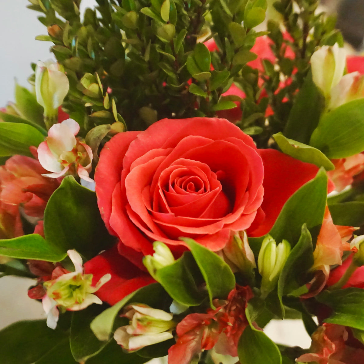 Florist Choice Christmas Hat Box