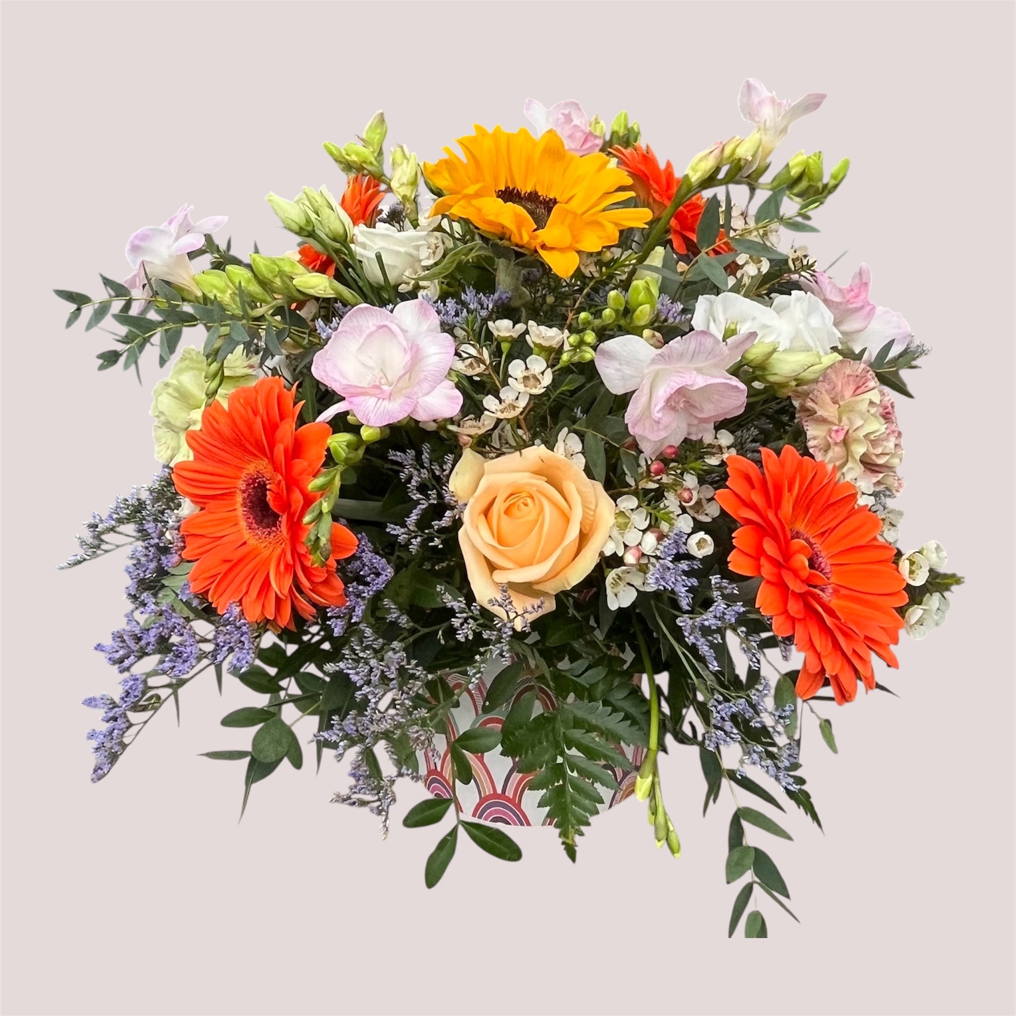Florist Choice Rainbow Pot Arrangement