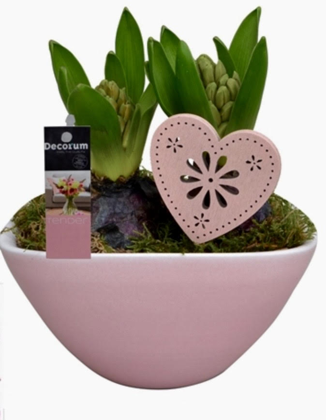 Mother's Day Pink Hyacinth Bowl Arrangement