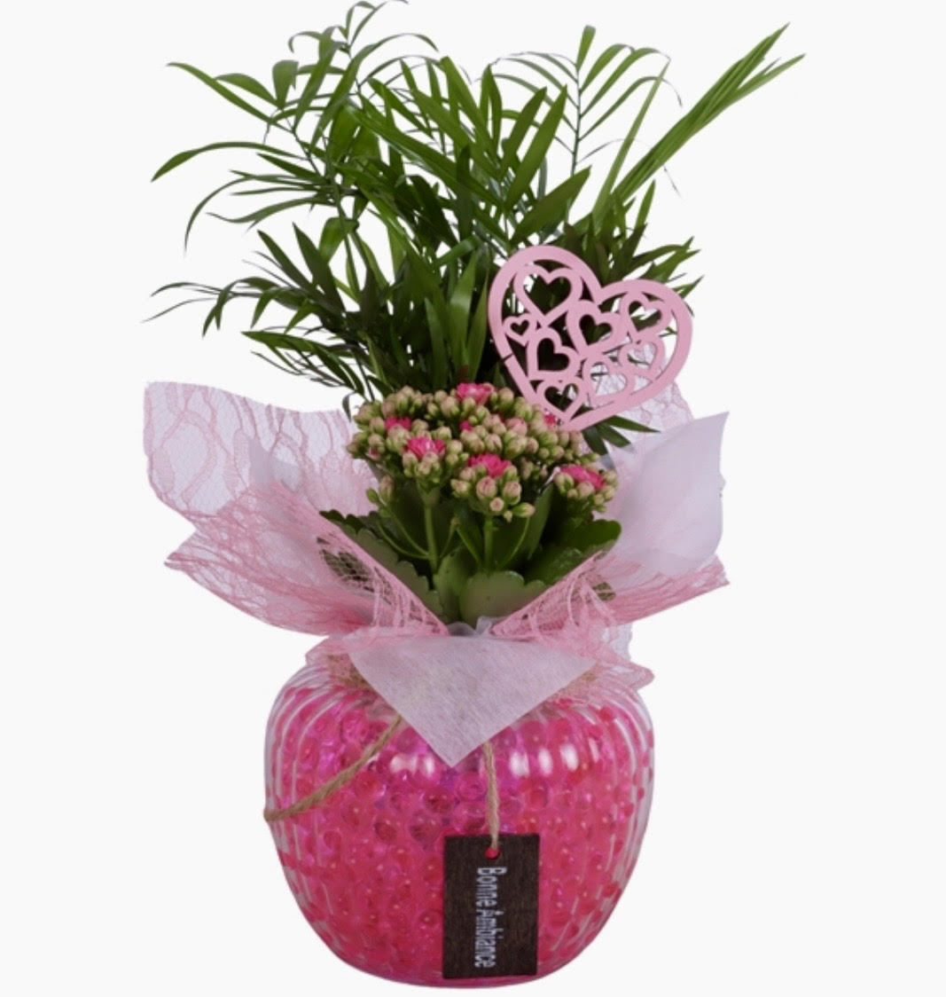 Mother's Day Pink Kalanchoe Heart Pot