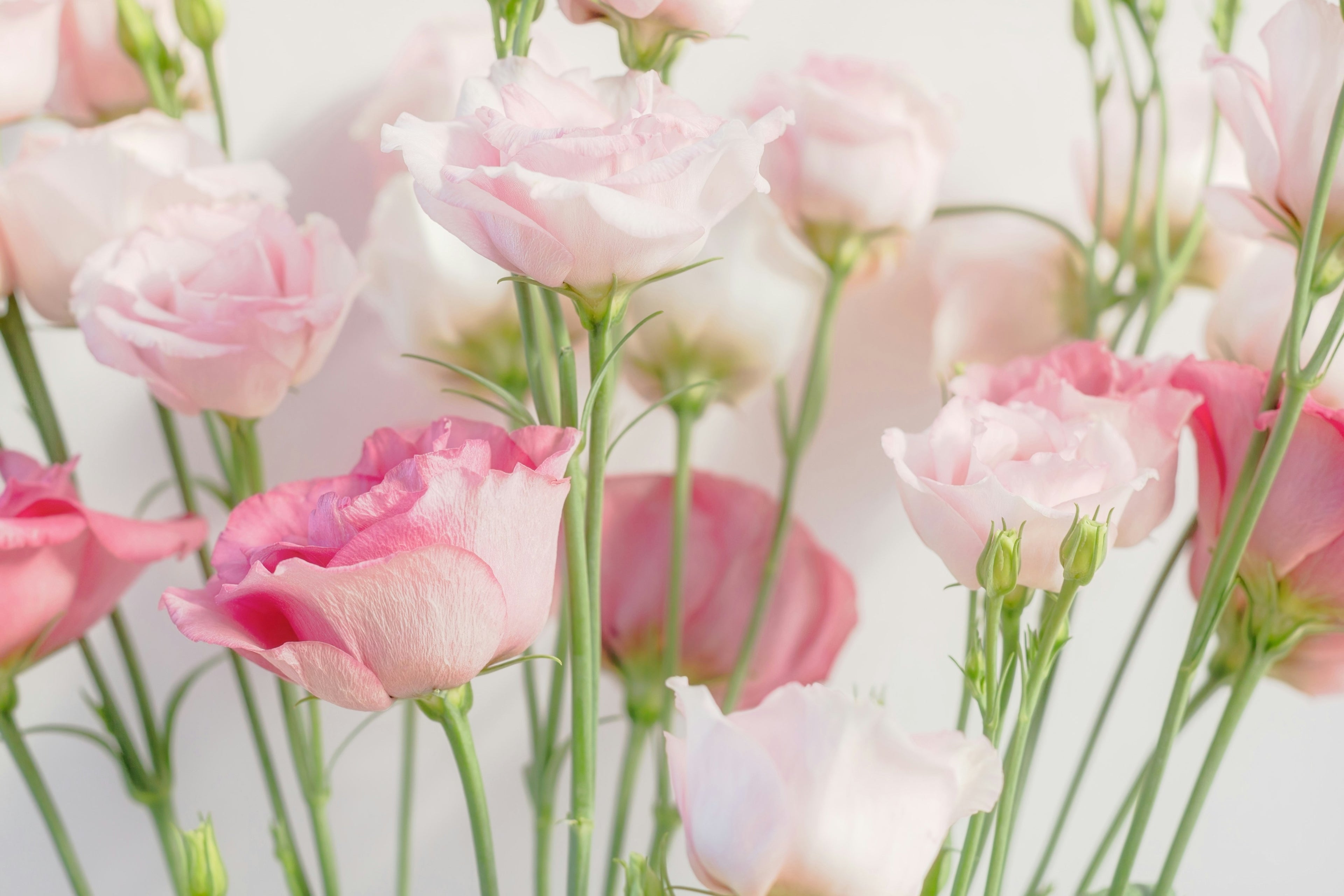 Lisianthus Meadow Bouquet