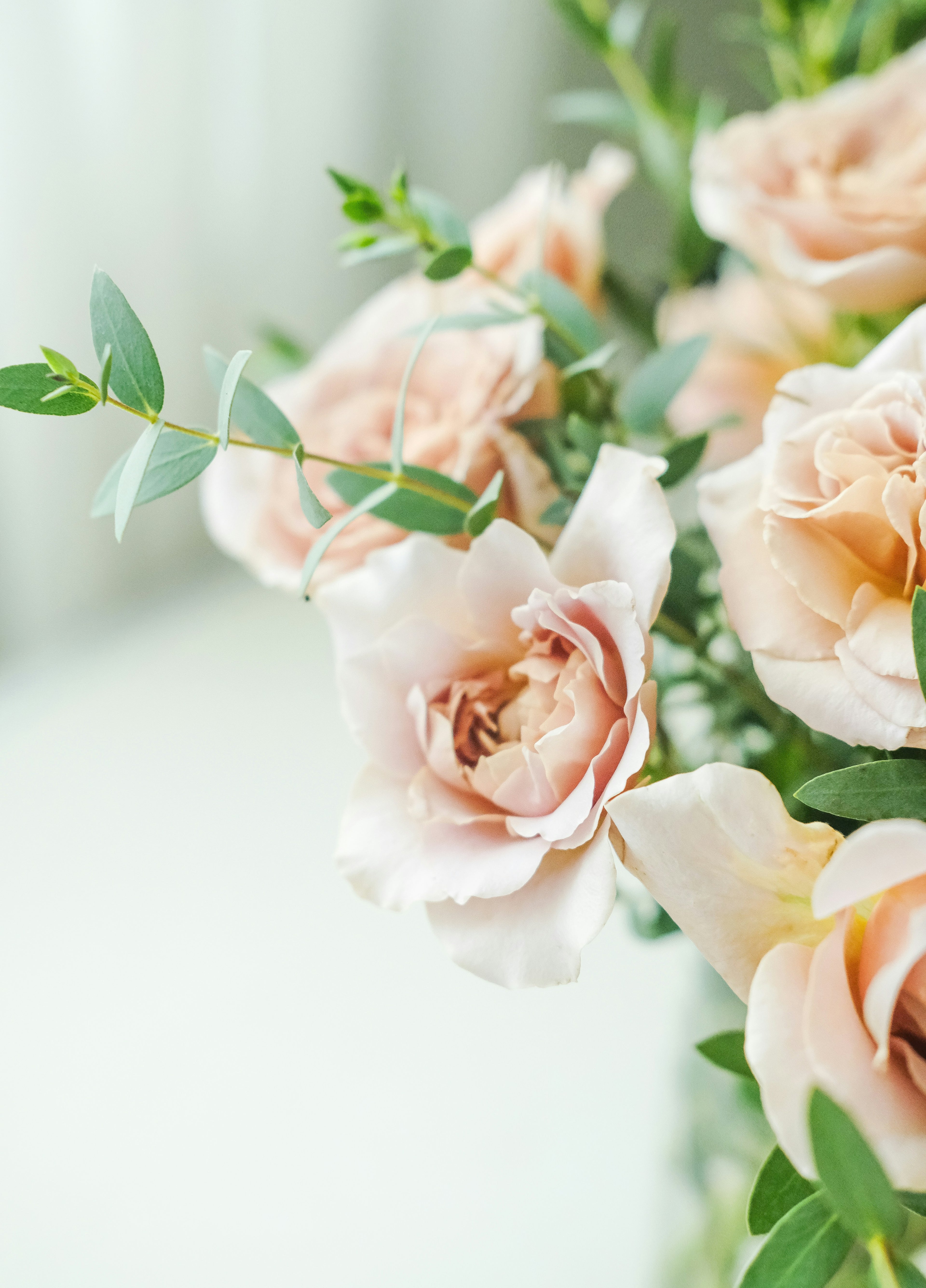 Florist Choice Timeless Hat Box